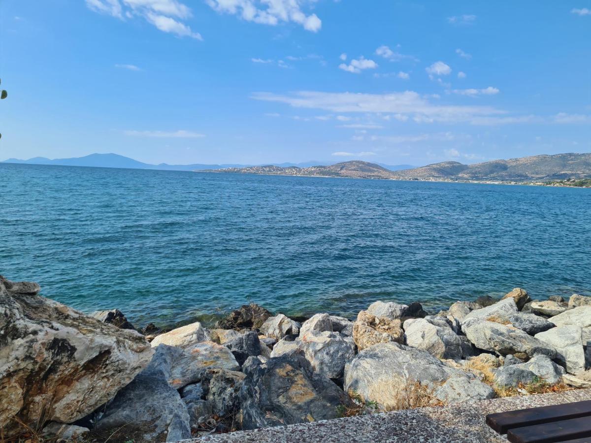 Fay'S Luxury Loft Apartment Volos Bagian luar foto
